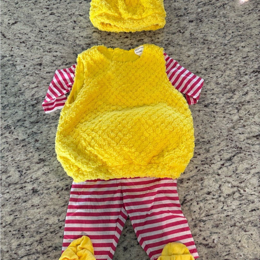Baby Pineapple Costume